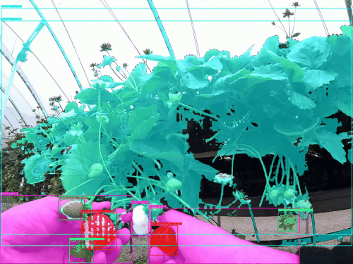 Project image